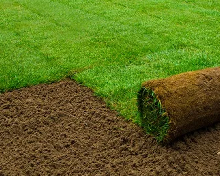 turfing-large